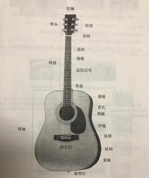 吉他品在哪里,吉他配有两个点品位记号是哪一品图2